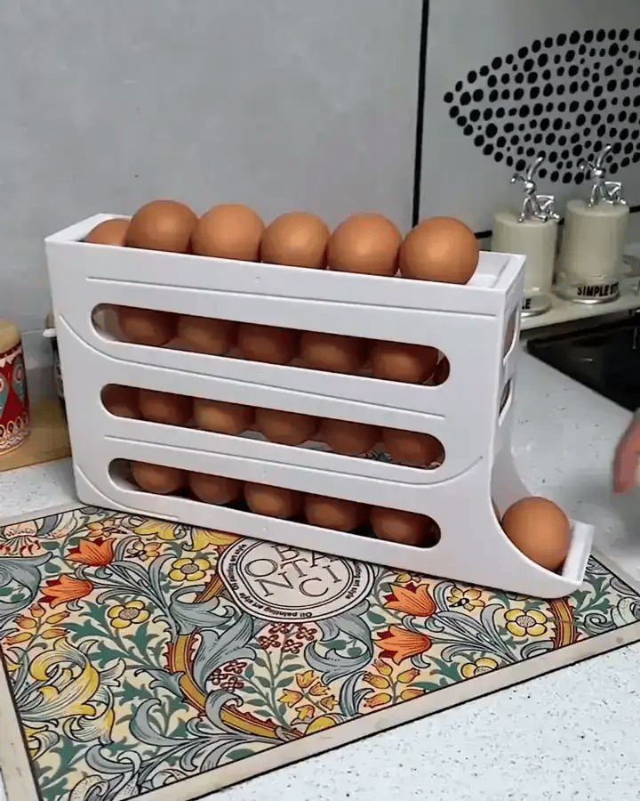 Suporte Organizador de Ovos